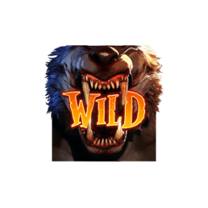 สัญลักษณ์พิเศษ Wild Symbol