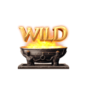 สัญลักษณ์พิเศษ Wild