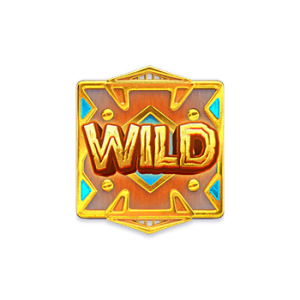 สัญลักษณ์พิเศษ wild