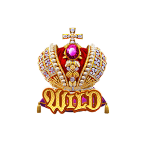 สัญลักษณ์ Wild