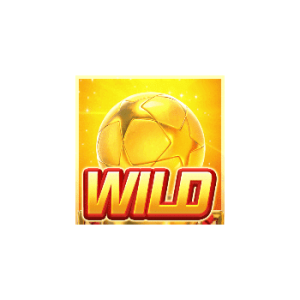 สัญลักษณ์ Wild